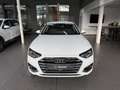 Audi A4 35TDI Avant advanced LED ACC AHK R.CAM Blanc - thumbnail 2