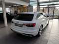 Audi A4 35TDI Avant advanced LED ACC AHK R.CAM Blanc - thumbnail 5