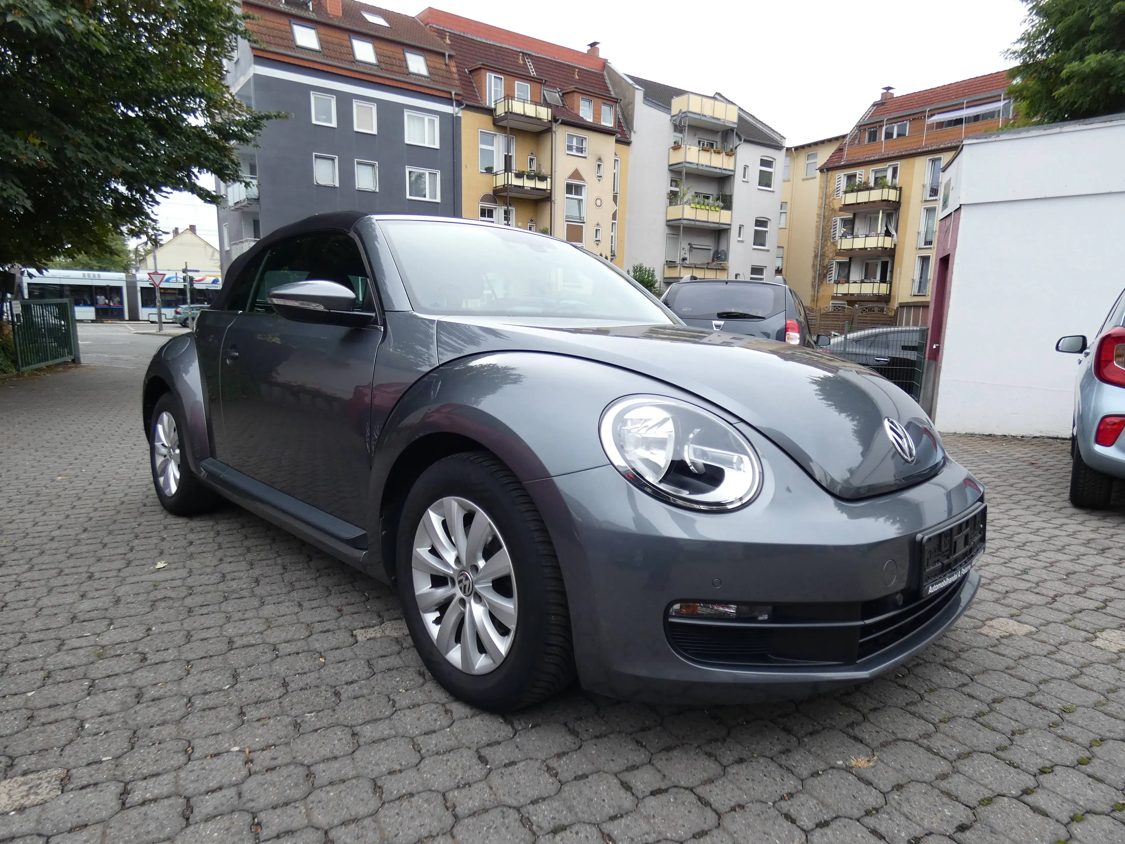 Volkswagen Beetle Basis — photo 3
