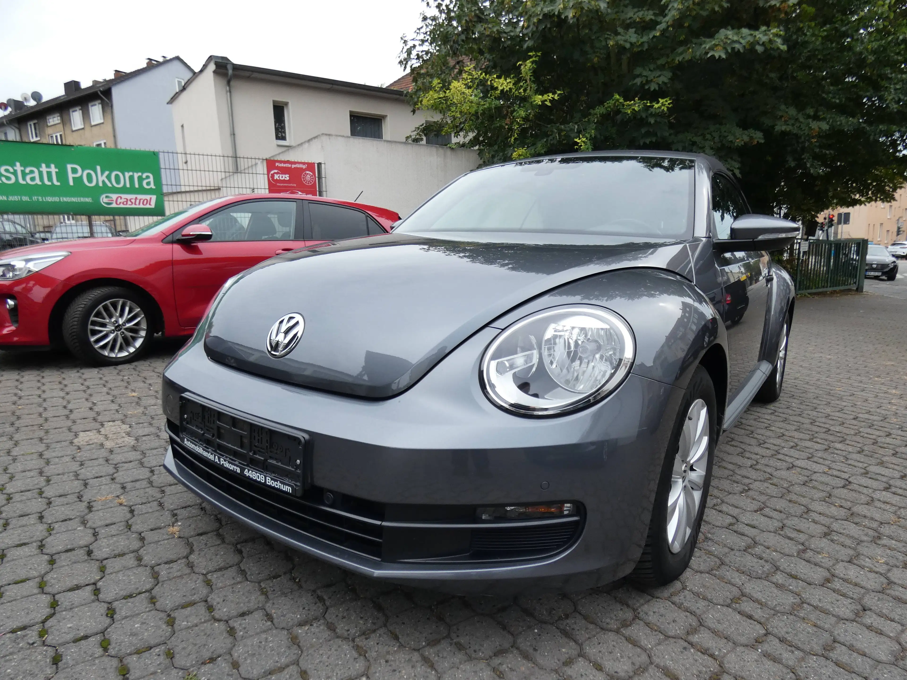 Volkswagen Beetle Basis