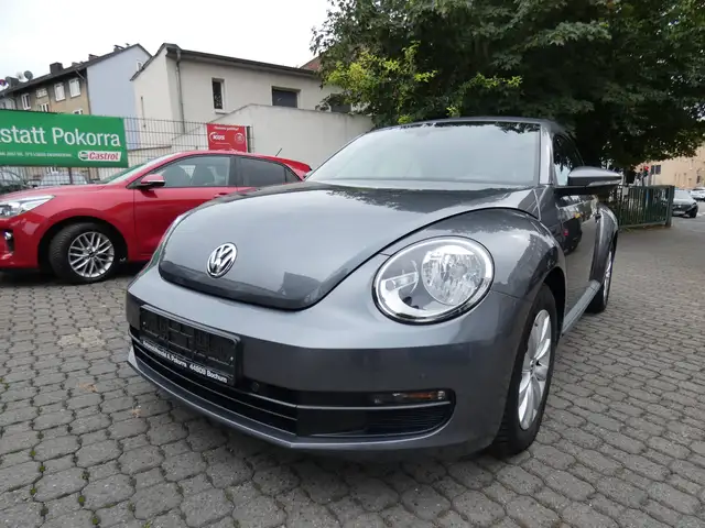 Volkswagen Beetle Basis