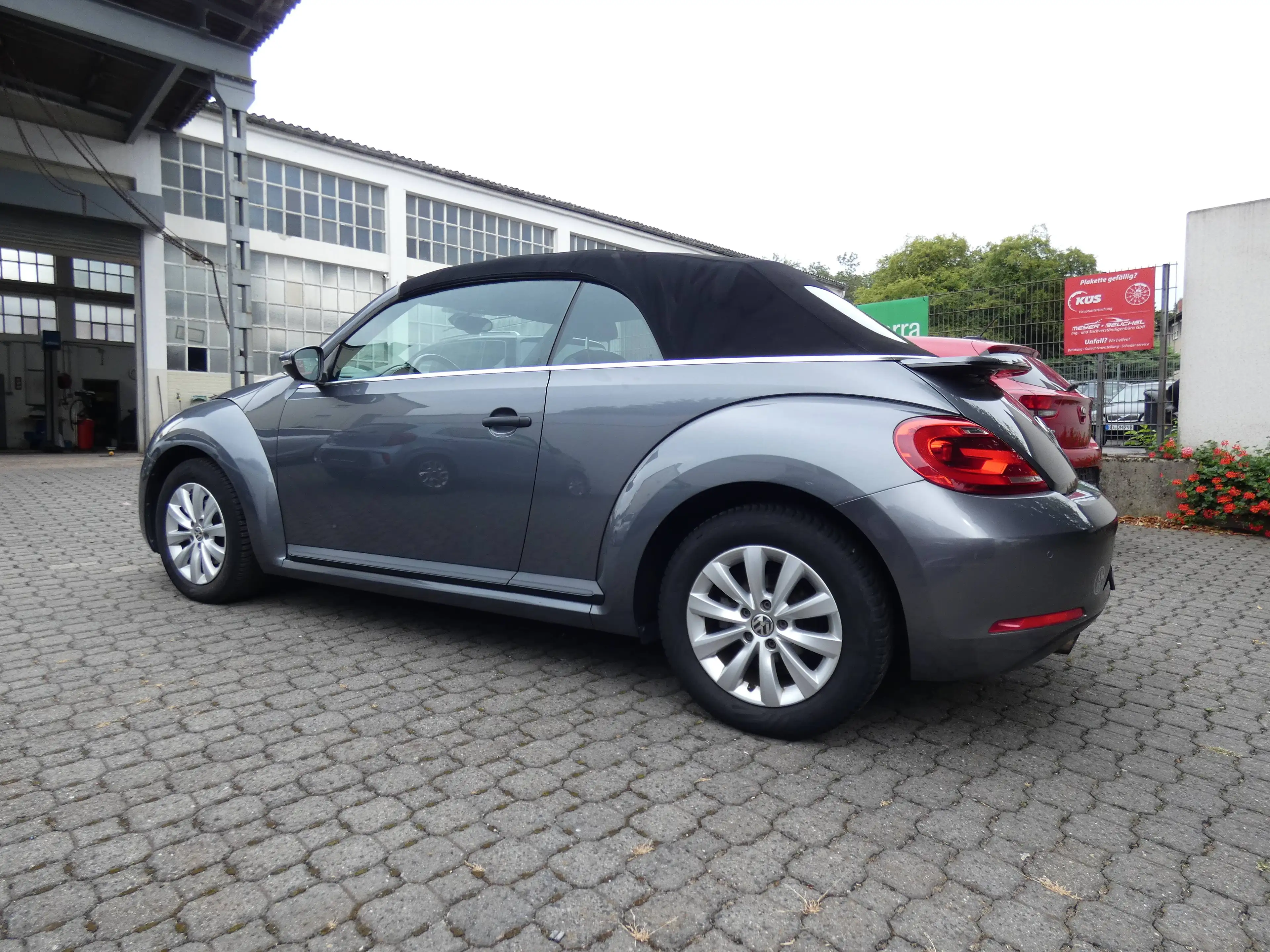 Volkswagen Beetle Basis — photo 7