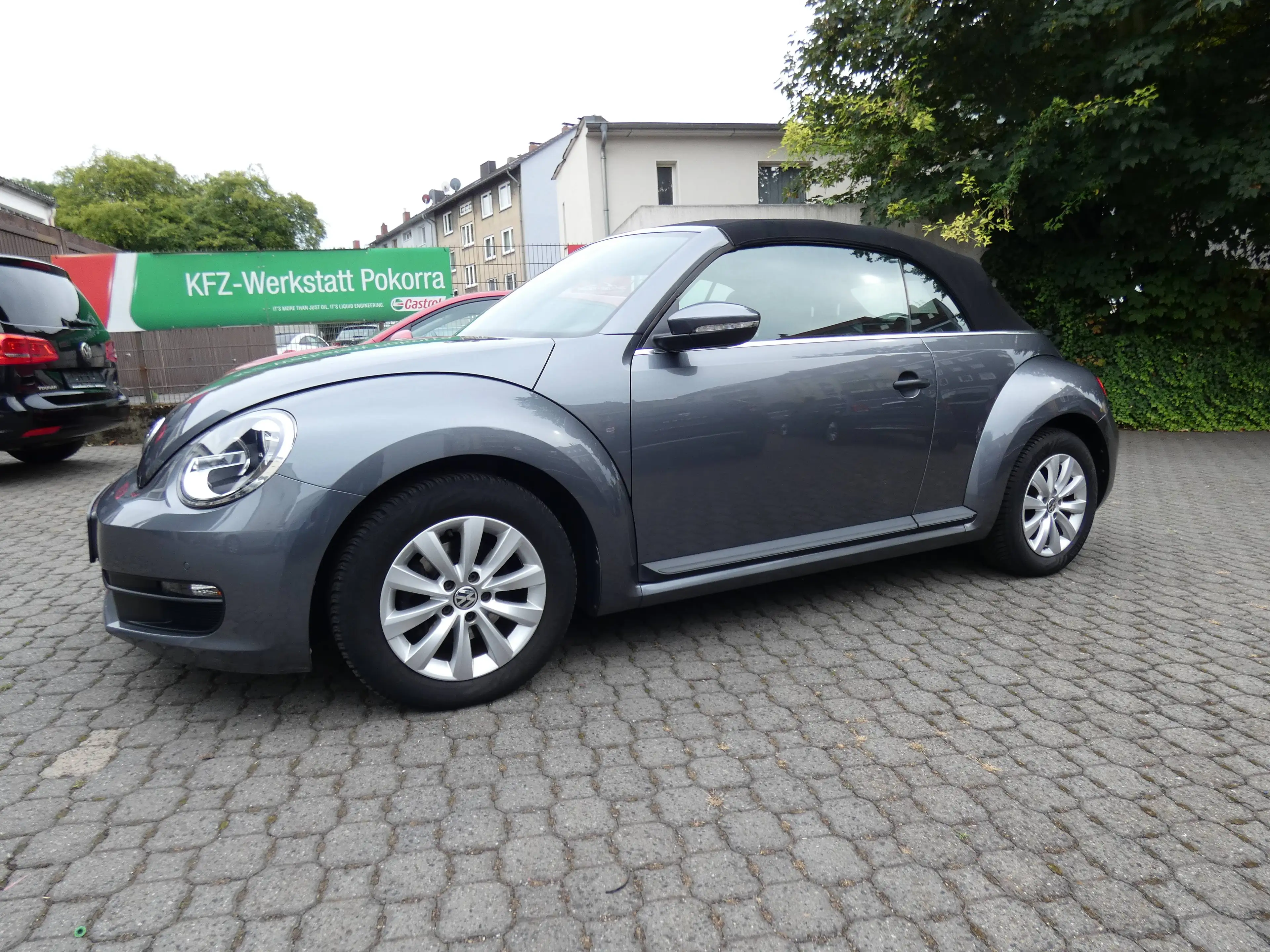 Volkswagen Beetle Basis — photo 8