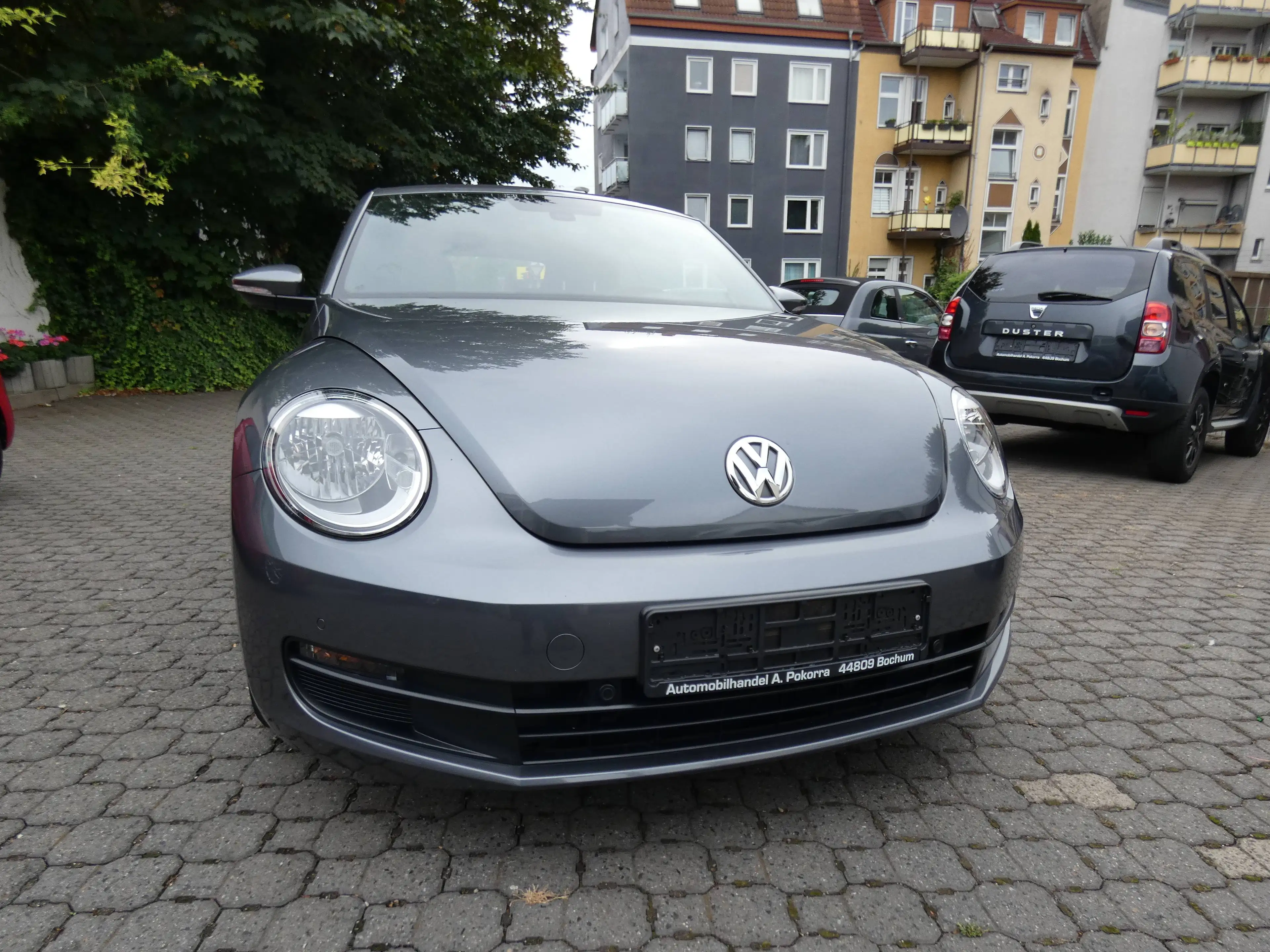 Volkswagen Beetle Basis — photo 2