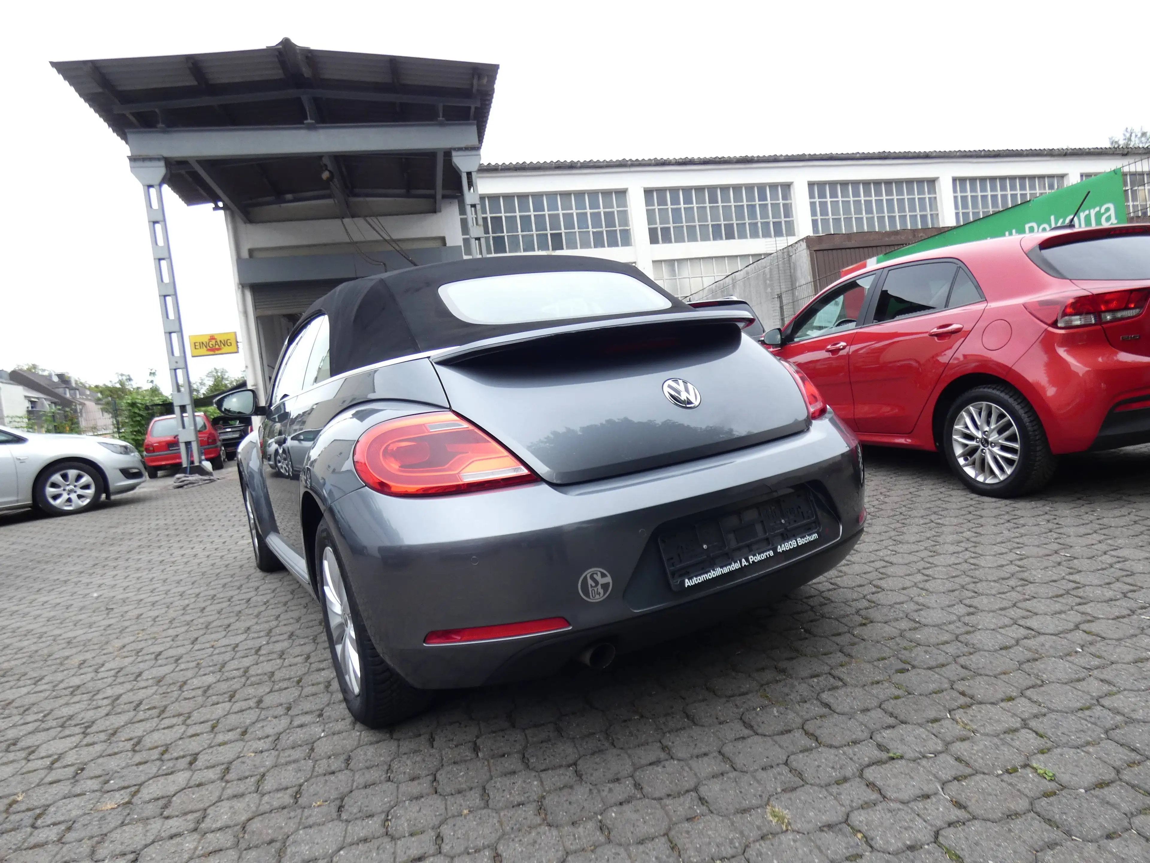Volkswagen Beetle Basis — photo 6