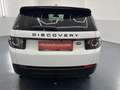 Land Rover Discovery Sport 2,0 TD4 4WD SE Aut. * SOFORT FINANZIERUNG & EIN... Blanc - thumbnail 4