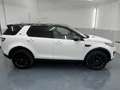 Land Rover Discovery Sport 2,0 TD4 4WD SE Aut. * SOFORT FINANZIERUNG & EIN... Blanc - thumbnail 6