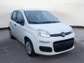 Fiat Panda NEW 1.0 70cv Hybrid Pop Weiß - thumbnail 3