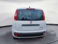 Fiat Panda NEW 1.0 70cv Hybrid Pop Weiß - thumbnail 5