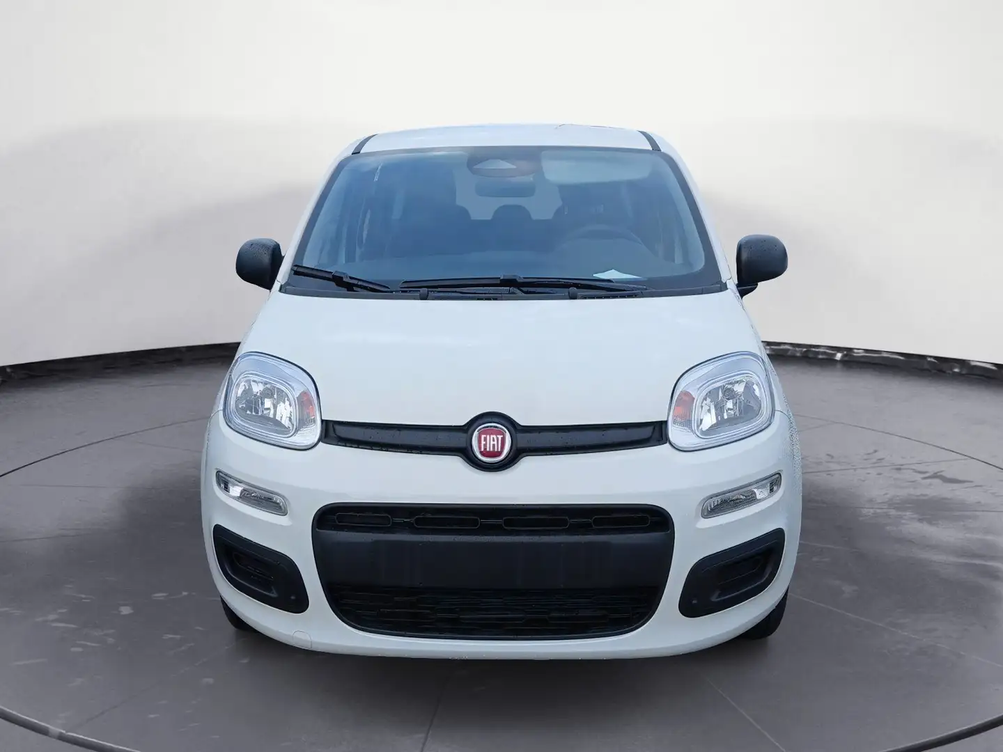 Fiat Panda NEW 1.0 70cv Hybrid Pop Weiß - 2