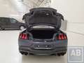 Ford Mustang * Dark Horse - V8 - Blue Ember - RECARO  * Bleu - thumbnail 7