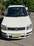 Fiat Panda Panda 1.2 Emotion 69cv E5 - thumbnail 1