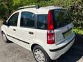Fiat Panda Panda 1.2 Emotion 69cv E5 - thumbnail 5