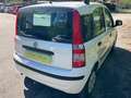 Fiat Panda Panda 1.2 Emotion 69cv E5 - thumbnail 7