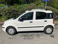 Fiat Panda Panda 1.2 Emotion 69cv E5 - thumbnail 4