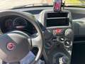 Fiat Panda Panda 1.2 Emotion 69cv E5 - thumbnail 13