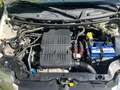 Fiat Panda Panda 1.2 Emotion 69cv E5 - thumbnail 14