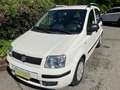 Fiat Panda Panda 1.2 Emotion 69cv E5 - thumbnail 3
