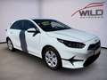 Kia Ceed / cee'd CEED 1.0T ULTIMATE Rückfahr, LED, Parksensoren Weiß - thumbnail 3