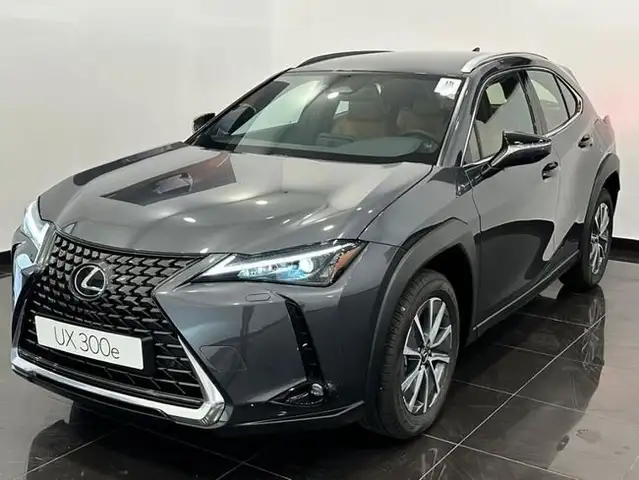 Lexus UX 300e e-+