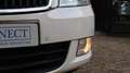 Skoda Octavia Combi 1.2 TSI Elegance|Xenon|Cruise|PDC|BT|LMV Wit - thumbnail 9