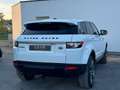 Land Rover Range Rover Evoque Pure 2,2 TD4 Aut. Weiß - thumbnail 5