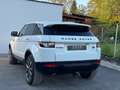 Land Rover Range Rover Evoque Pure 2,2 TD4 Aut. Weiß - thumbnail 6