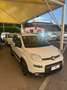 Fiat Panda 1.0 firefly hybrid City Life s&s 70cv - thumbnail 2