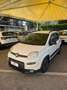 Fiat Panda 1.0 firefly hybrid City Life s&s 70cv - thumbnail 1