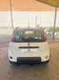 Fiat Panda 1.0 firefly hybrid City Life s&s 70cv - thumbnail 3