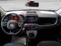 Fiat Panda Cross 1.0 FireFly Hybrid Blu/Azzurro - thumbnail 14