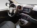 Fiat Panda Cross 1.0 FireFly Hybrid Blu/Azzurro - thumbnail 12