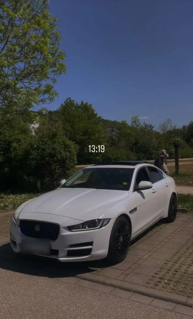 Jaguar XE XE 20d Aut. Portfolio Weiß - 1