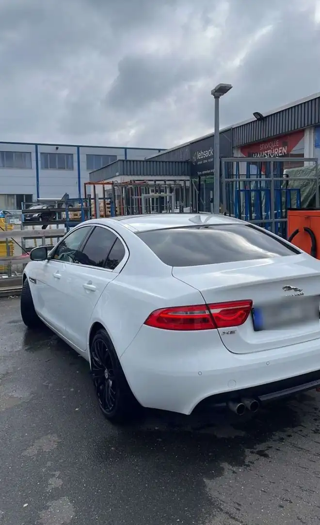 Jaguar XE XE 20d Aut. Portfolio Weiß - 2