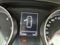 Volkswagen Golf 1.6 TDI 110 CV DSG 5p. Business BMT Argent - thumbnail 14