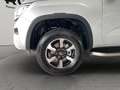 Volkswagen Amarok Style (NAVI.SHZ.SH.PDC.AHK) 3.0 TDI Doppelkabine 1 Grau - thumbnail 16