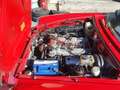 Alfa Romeo Spider Duetto quarta s. 1.6 carburatori 106cv servosterzo Rojo - thumbnail 12