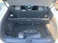 Ford Mustang Mach-E Ford Garantieschutzbrief 11.2030 bis max. 160k Blanc - thumbnail 7
