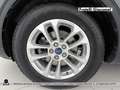 Ford Kuga 1.5 ecoblue st-line x 2wd 120cv Grigio - thumbnail 12