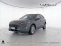 Ford Kuga 1.5 ecoblue st-line x 2wd 120cv Grigio - thumbnail 1