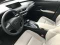 Lexus UX 250h 250H 2WD PACK - thumbnail 13