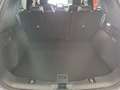 Ford Kuga 2,0 EcoBlue Hybrid Titanium X Aut. Blau - thumbnail 5