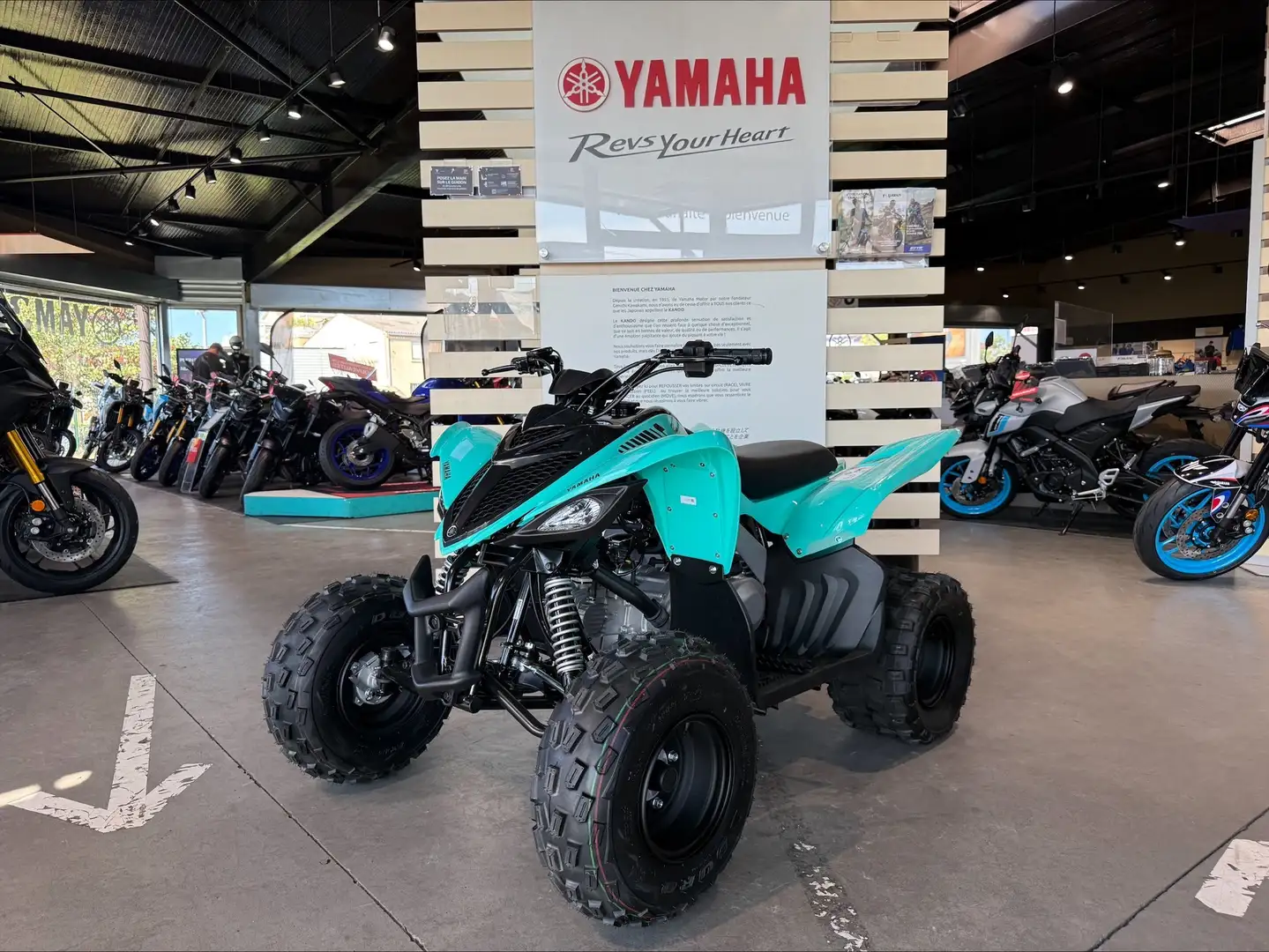 Yamaha YFM 90 Verde - 1