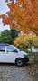Volkswagen T6 Kombi Kombi KR 2,0 TDI BMT Weiß - thumbnail 16