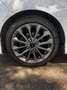 Ford Fiesta 5p 1.5 tdci ST-line 75cv - thumbnail 6
