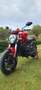 Ducati Monster 821 35KW patente A2 Rosso - thumbnail 7