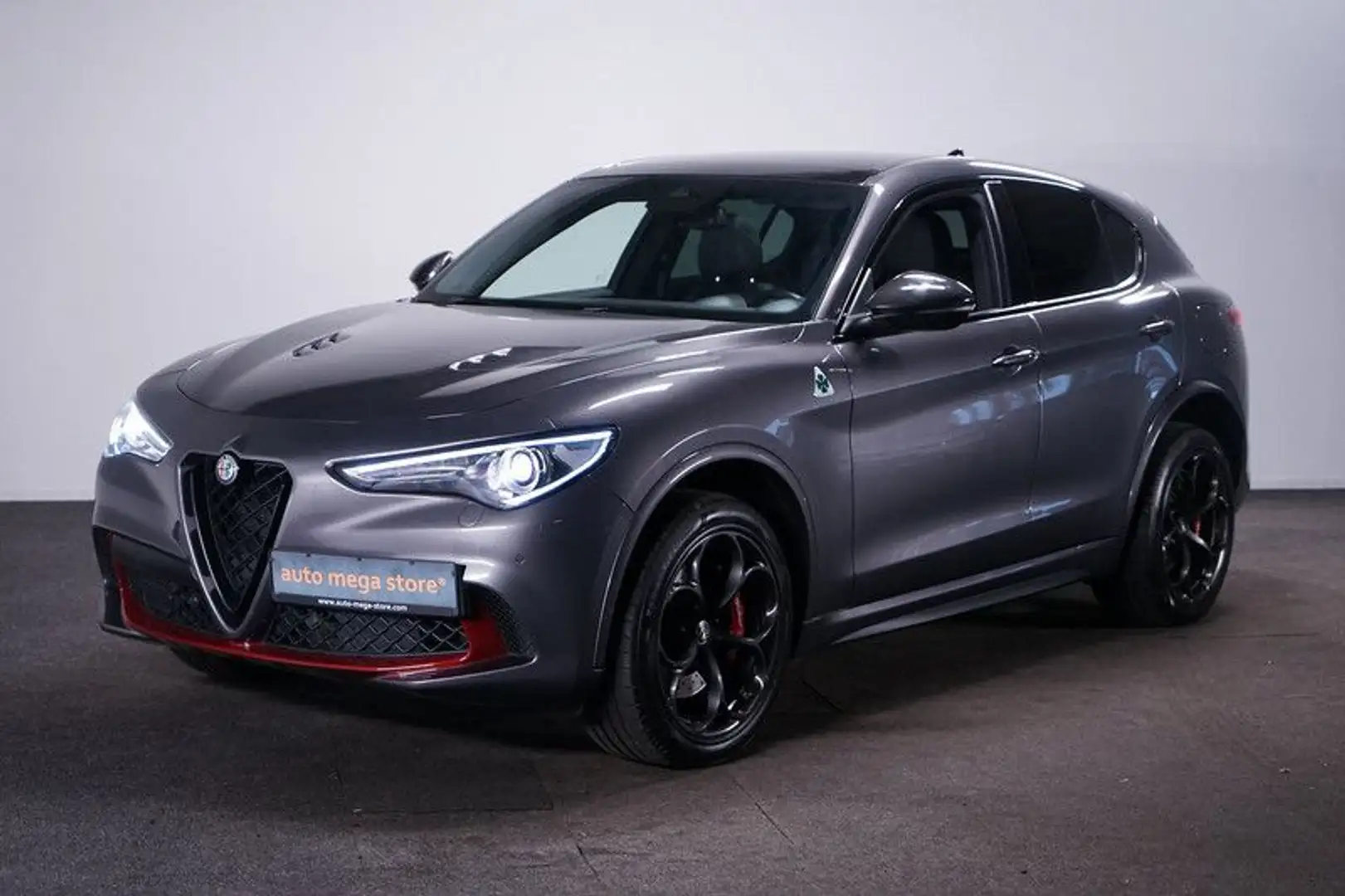 Alfa Romeo Stelvio 2.9 V6 Quadrifoglio*Bi-Xenon*ACC*RFK*Pan Grigio - 1