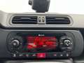 Fiat Panda 1.0 MHEV CITY LIFE 70CV 5P Blanco - thumbnail 15