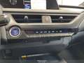 Lexus UX 250h 250H HYBRID 2.0 Premium 2wd cvt Сірий - thumbnail 15
