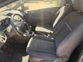 Ford Fiesta Fiesta 3p 1.0 Titanium 80cv Nero - thumbnail 13